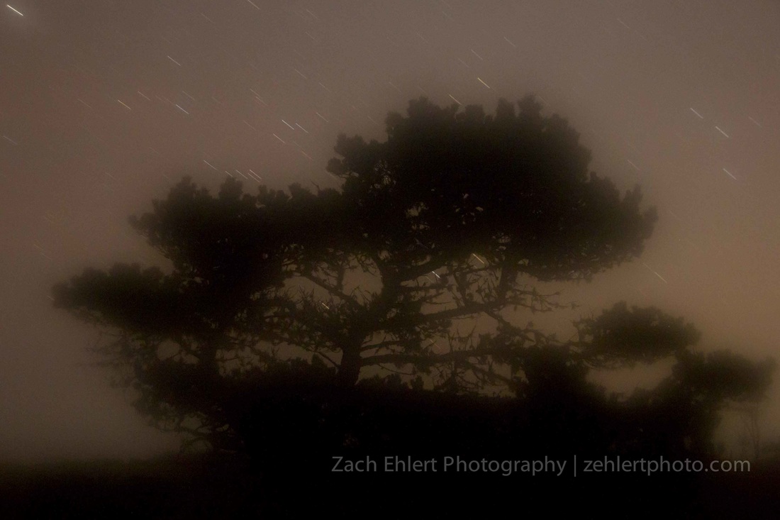 Coast Dreams - Single exposure photograph by Zach Ehlert